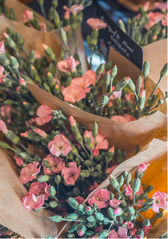 Fleurs en préparation